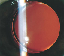 1594864425590947.png 1594864425590947.png