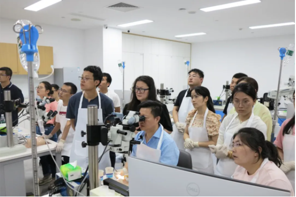 1722562546205356.png image.png